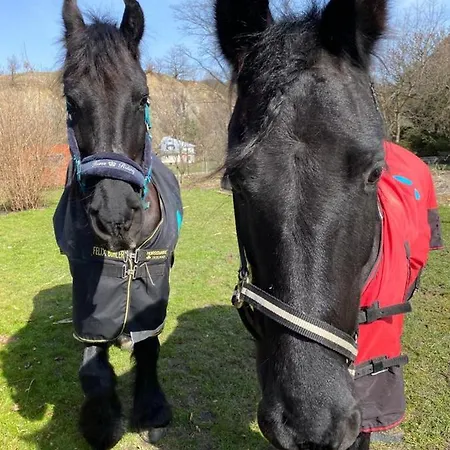 Caloroczne Jurty Mongolskie - 