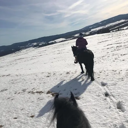 Caloroczne Jurty Mongolskie - 