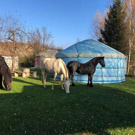 Caloroczne Jurty Mongolskie - 