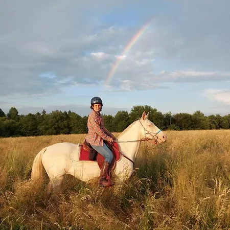 Caloroczne Jurty Mongolskie - 