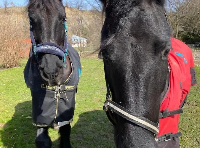 Caloroczne Jurty Mongolskie - 