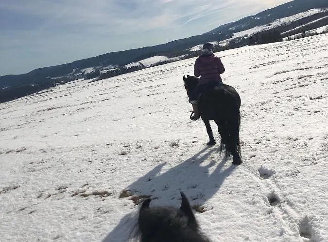 Caloroczne Jurty Mongolskie - 